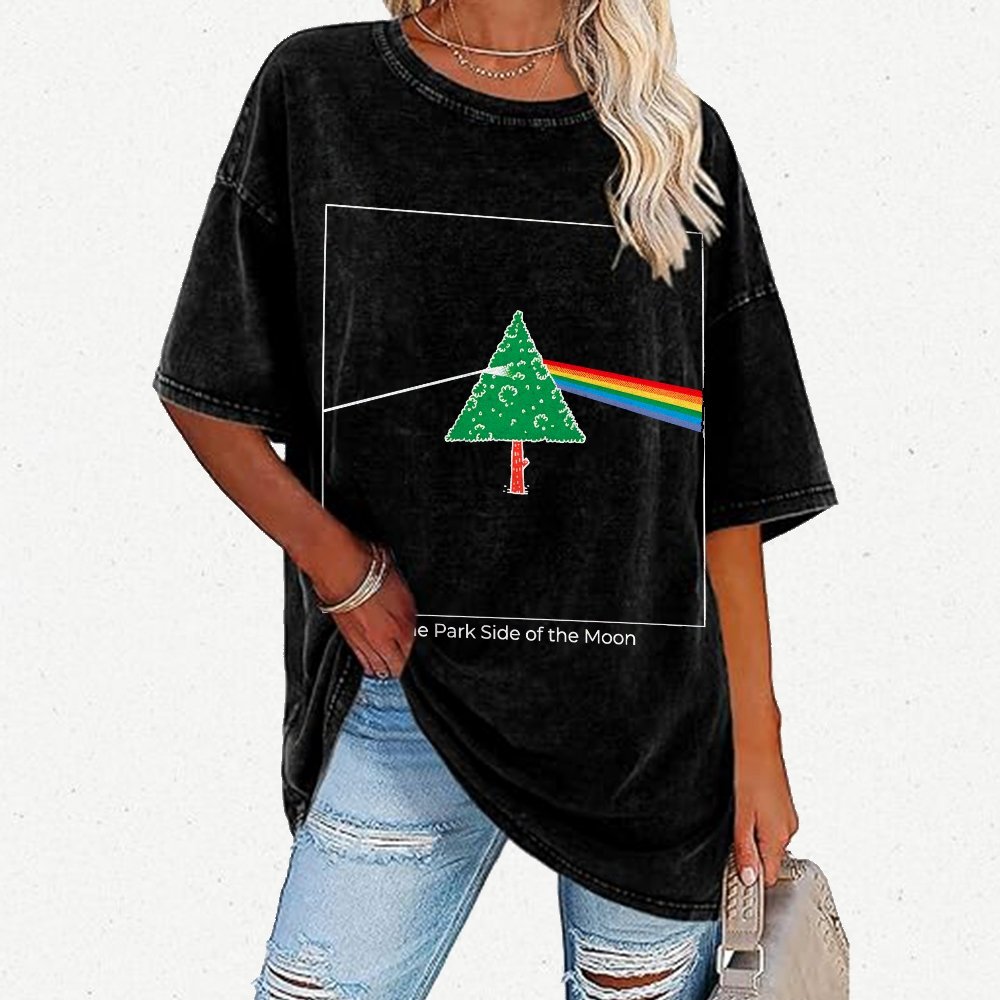 The Park Side of the Moon Vintage Distressed T-shirt