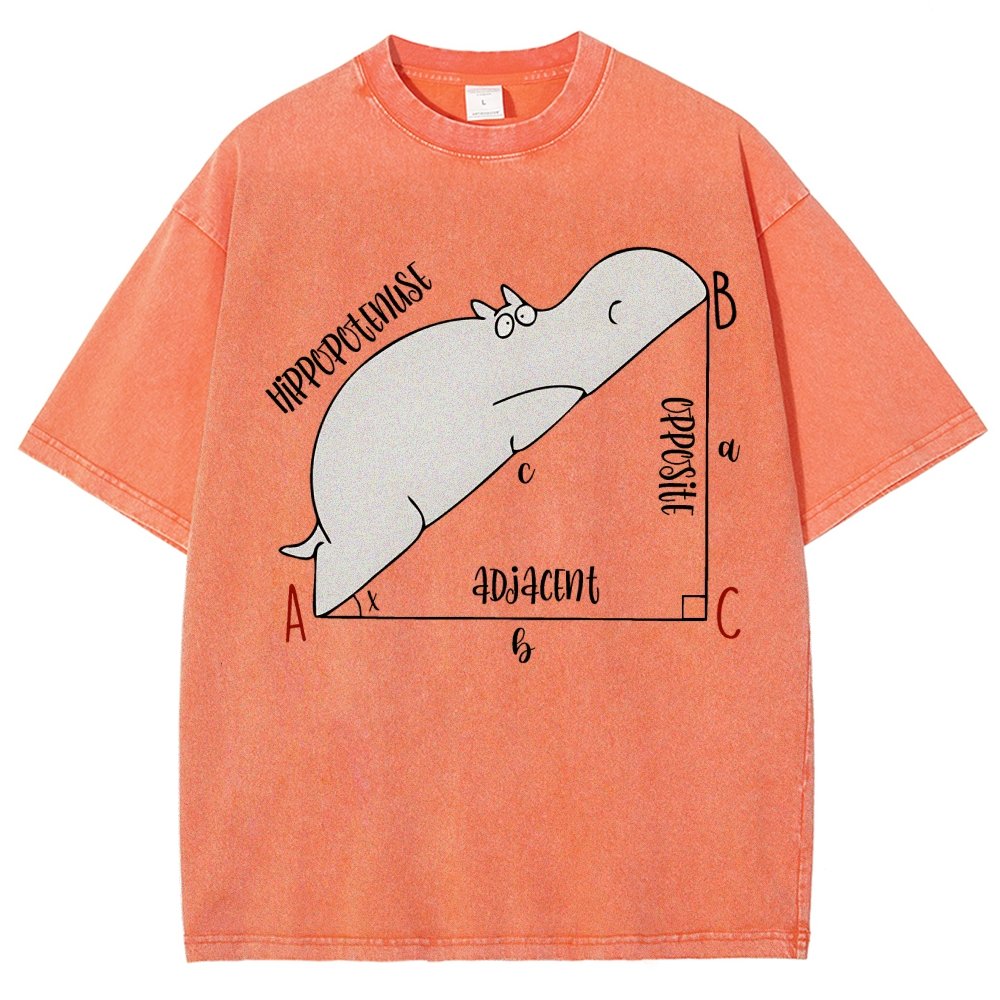 Interesting Math Teacher Math Lover Math Geek Vintage Distressed T-shirt