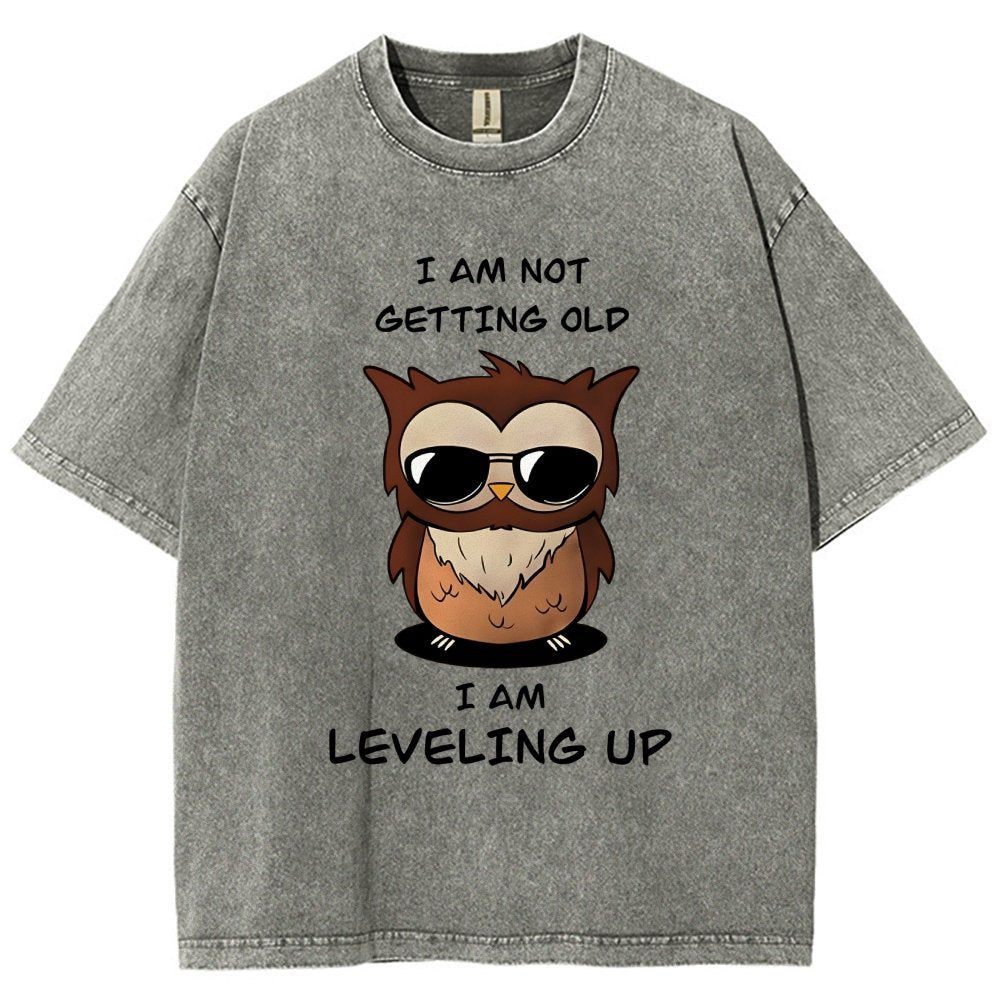 Leveling Up Vintage Distressed T-shirt