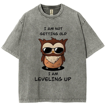 Leveling Up Vintage Distressed T-shirt