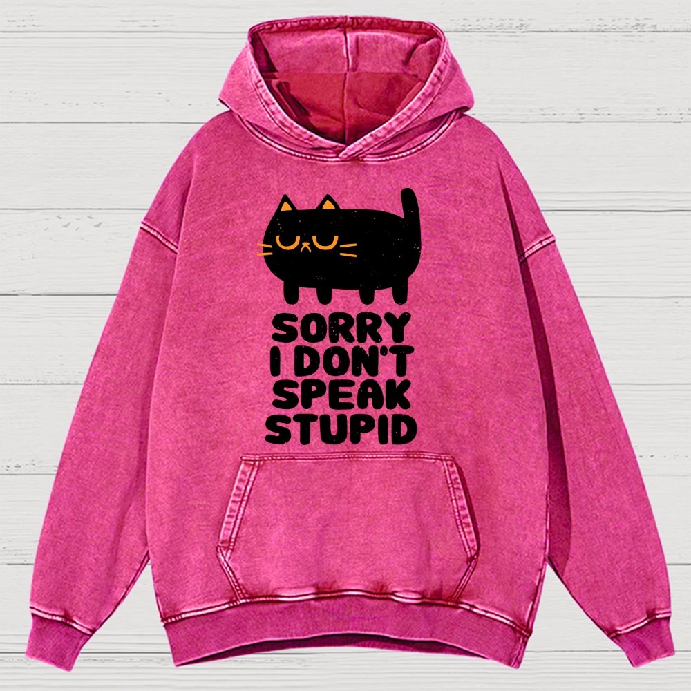 I Don't Speak Stupid Vintage Distressed Hoodie