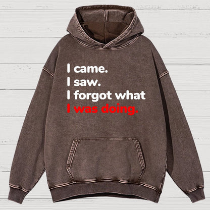 I Came. I Saw. I Forgot What I Was Doing Vintage Distressed Hoodie