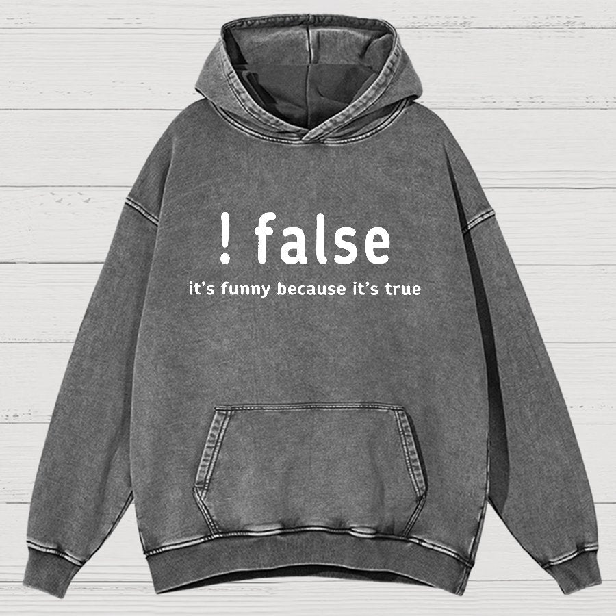 False It's Funny Because It's True Vintage Distressed Hoodie