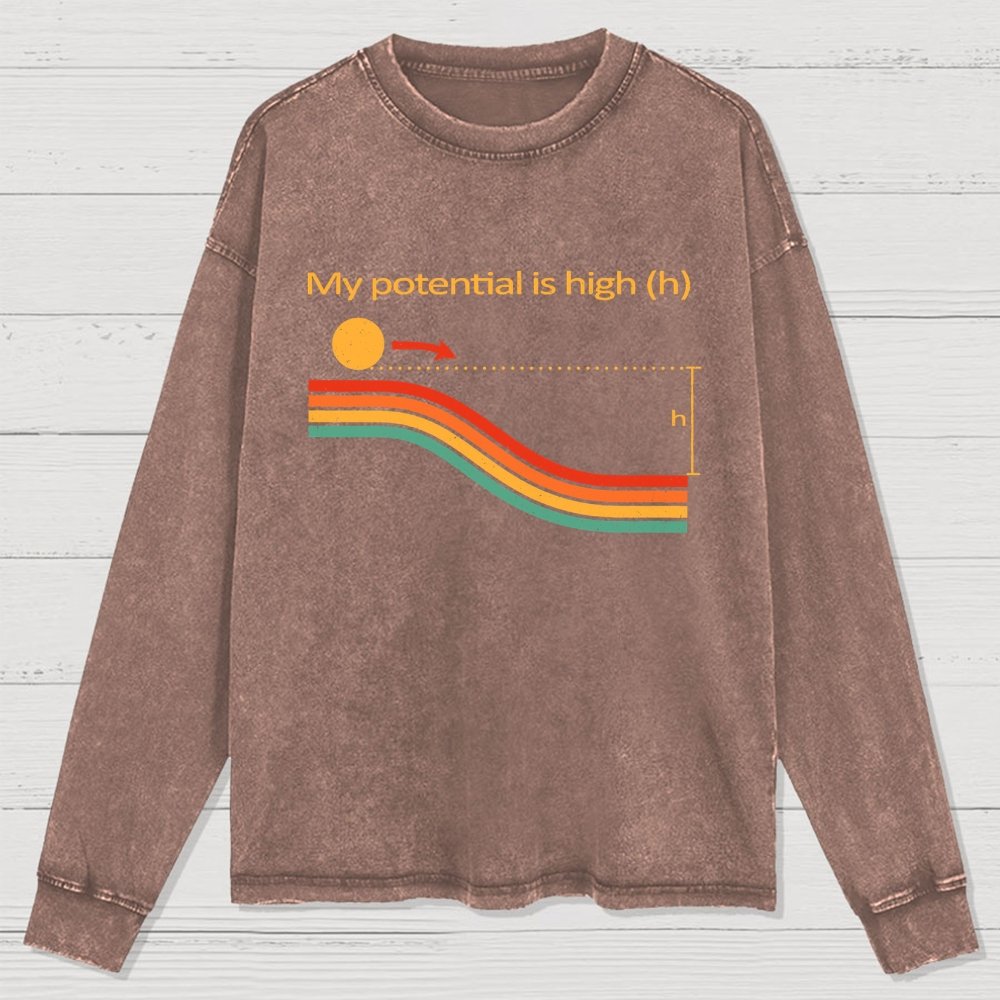 My Potential Is High Washed Long Sleeve Tee