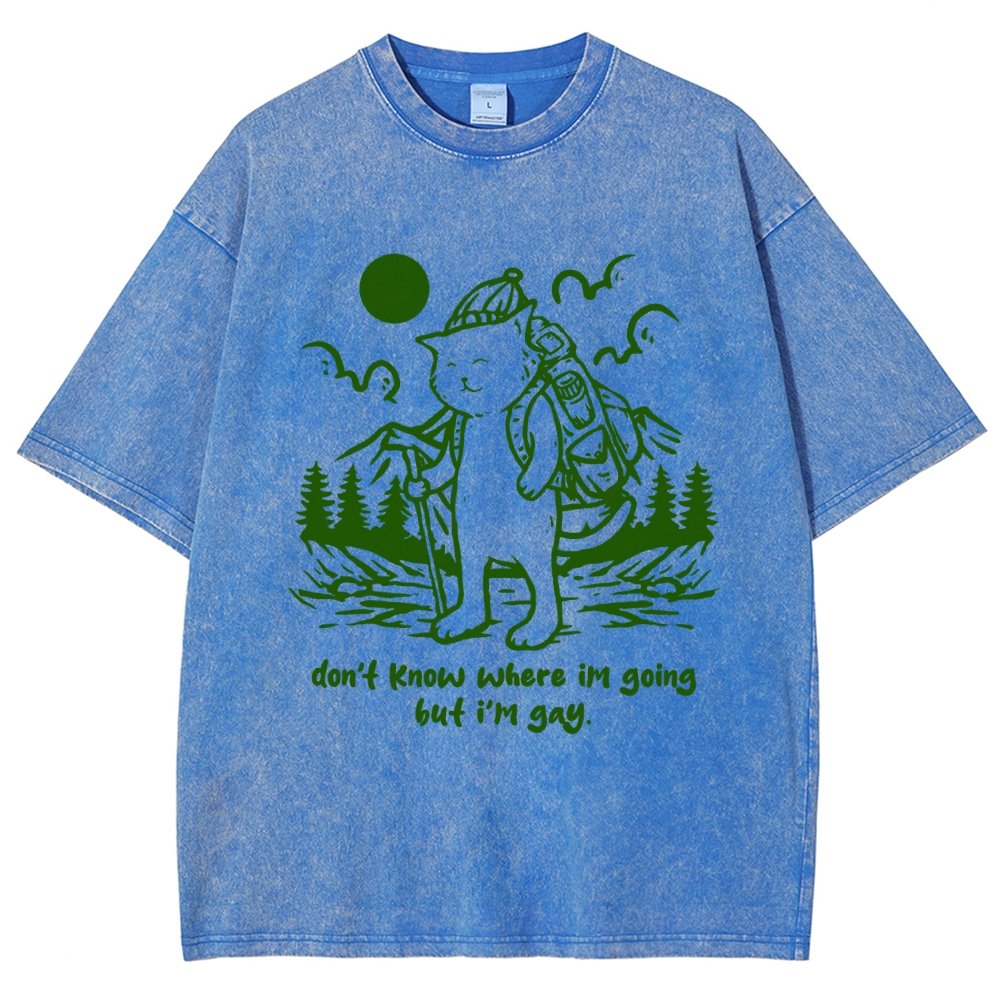Don't Know Where I'm Going But I'm Gay Vintage Distressed T-shirt