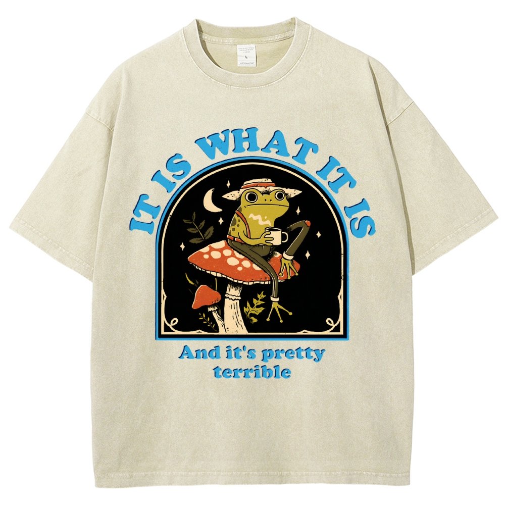 It Is What It Is And It's Pretty Terrible Vintage Distressed T-shirt
