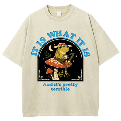 It Is What It Is And It's Pretty Terrible Vintage Distressed T-shirt