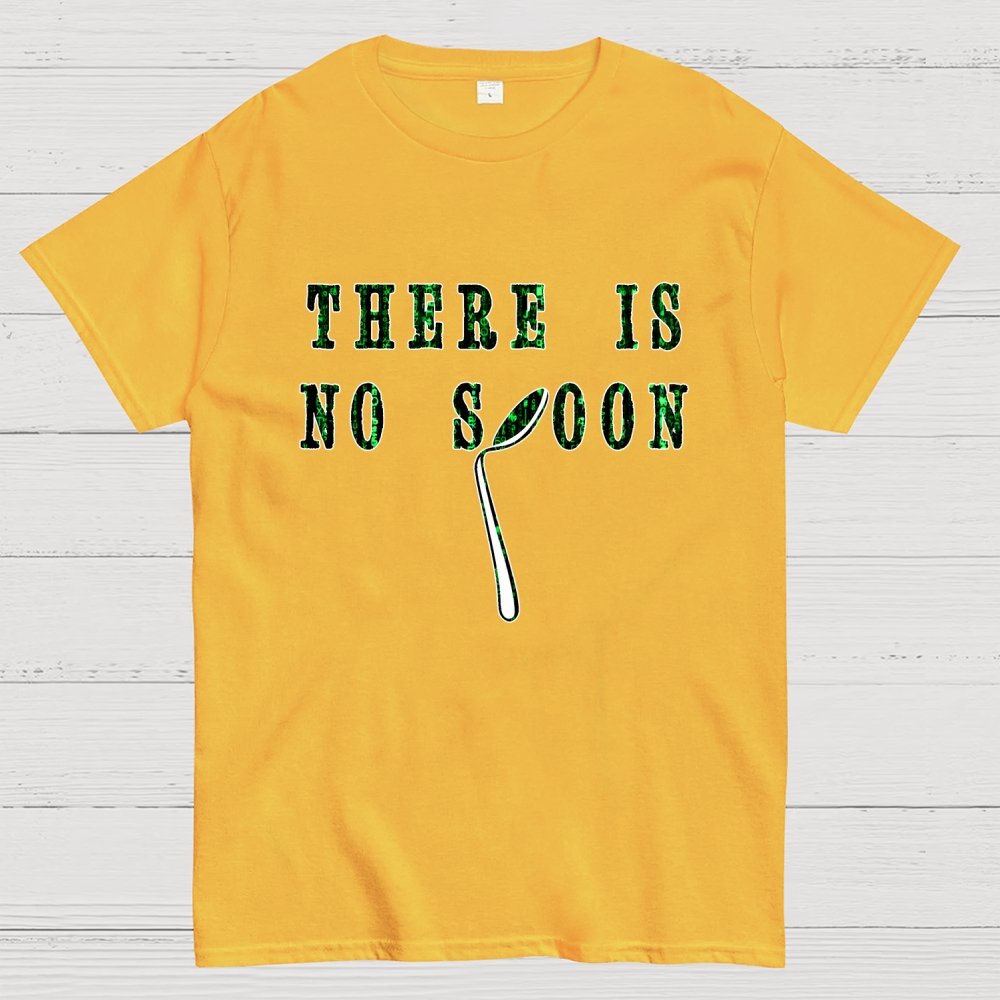 There is no spoon Geek T-Shirt