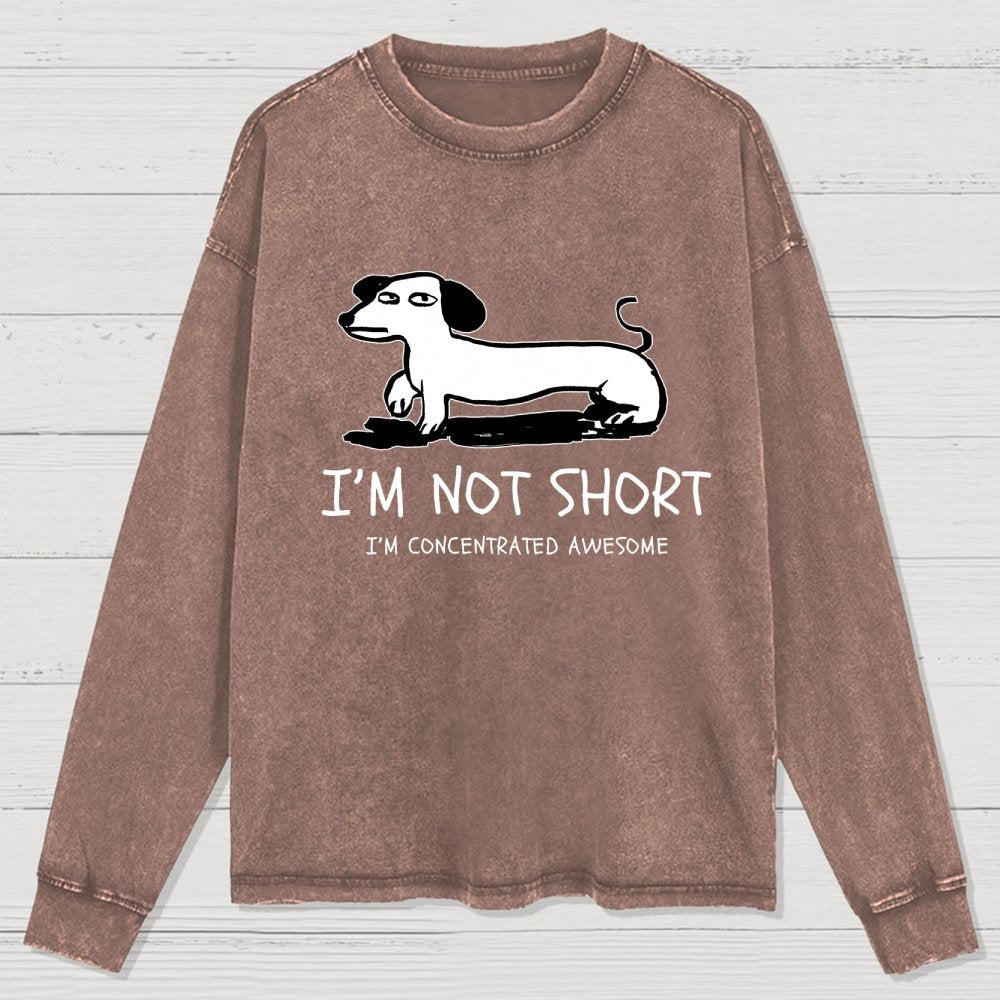 I'm Not Short Washed Long Sleeve Tee