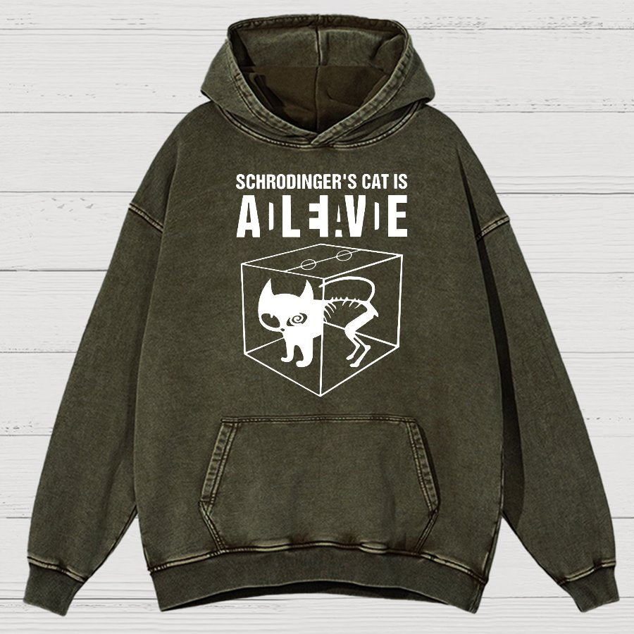 Schrodinger's Cat Vintage Distressed Hoodie