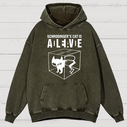 Schrodinger's Cat Vintage Distressed Hoodie