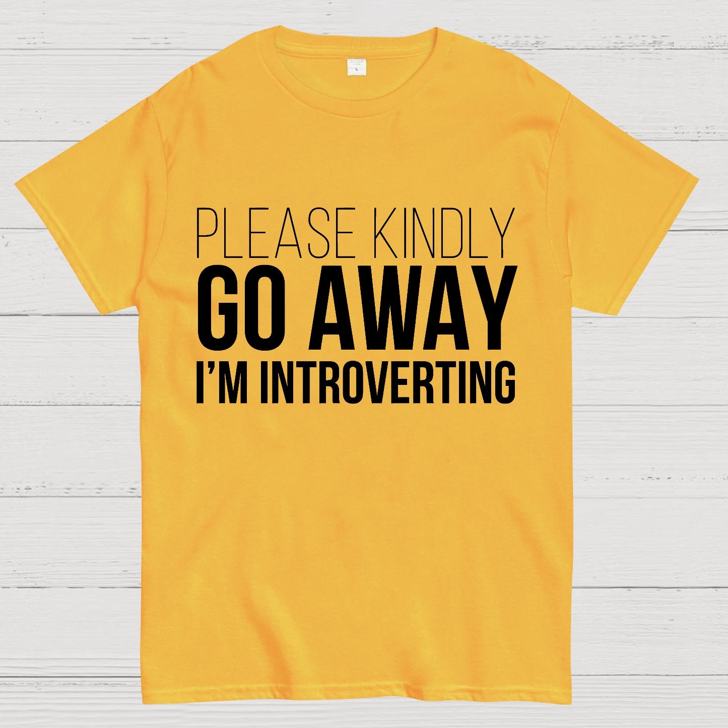 Please Kindly Go Away - I'm Introverting Geek T-Shirt