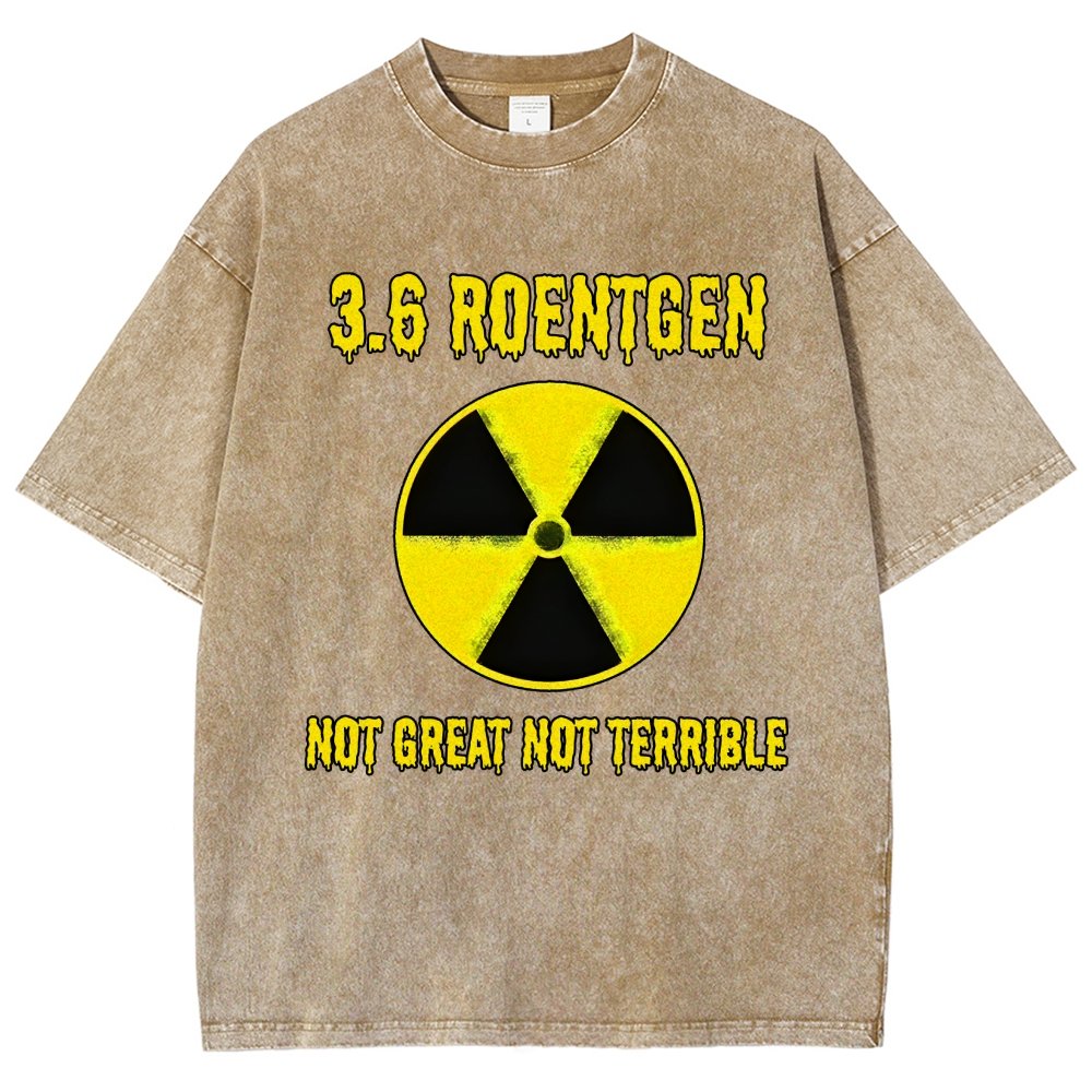 3.6 Roentgen Not Great Not Terrible Vintage Distressed T-shirt