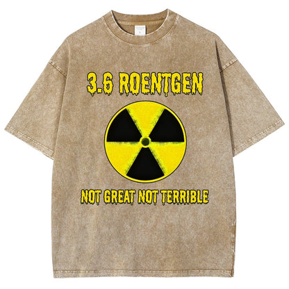 3.6 Roentgen Not Great Not Terrible Vintage Distressed T-shirt