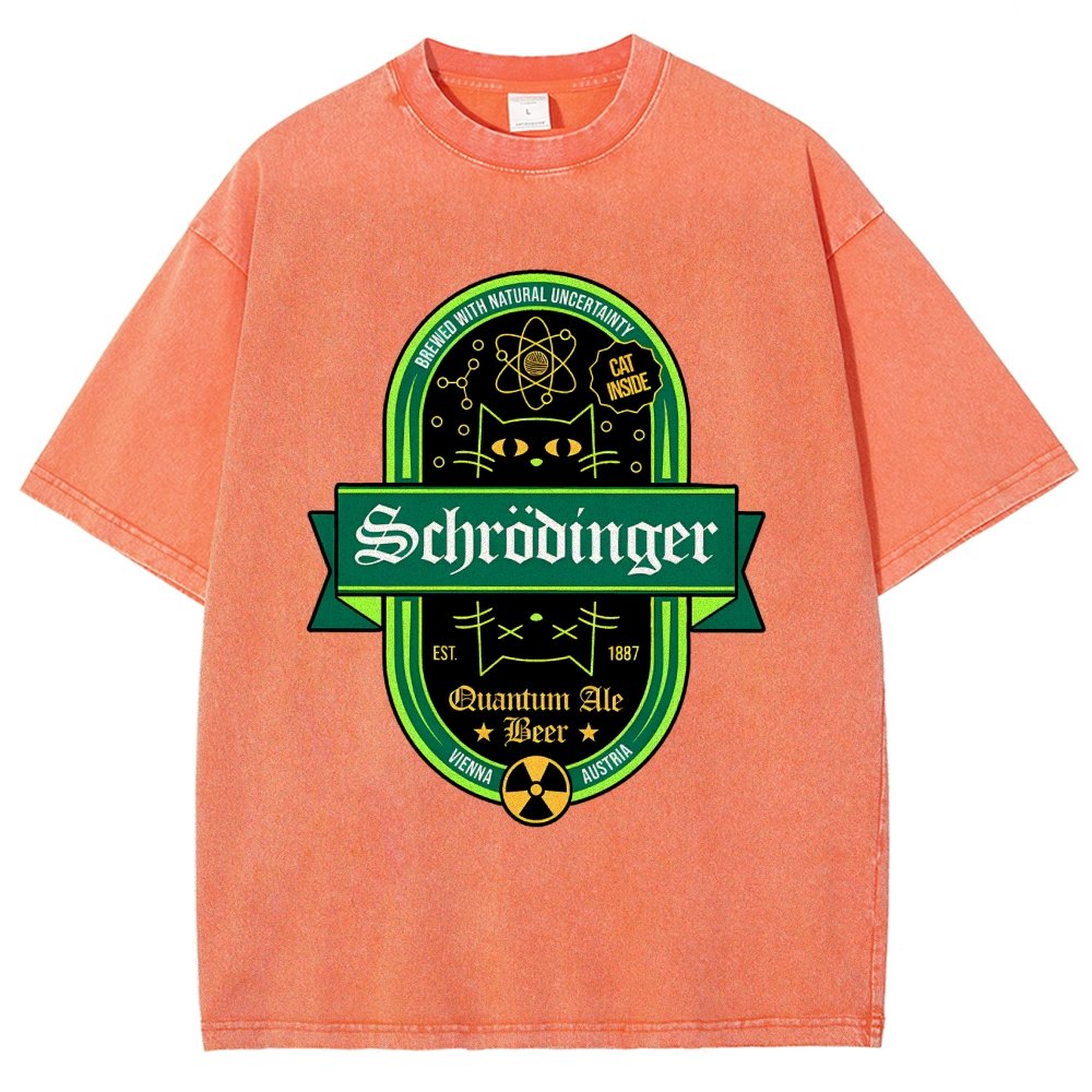 Schrödinger's Cat Inside Vintage Distressed T-shirt