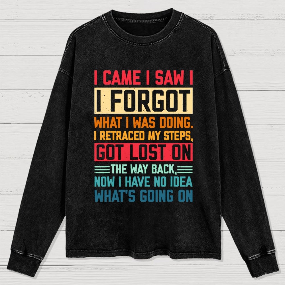 I Came I Saw I Forgot What I Was Doing Sarcastic Washed Long Sleeve Tee