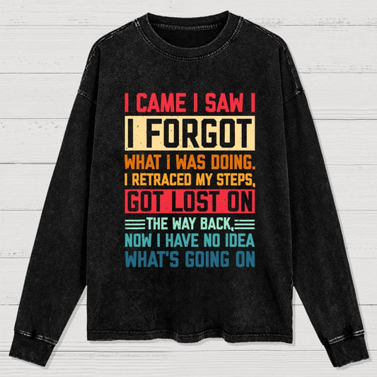 I Came I Saw I Forgot What I Was Doing Sarcastic Washed Long Sleeve Tee