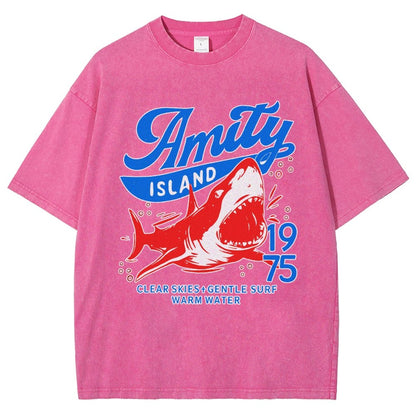 Seaside Town 1975 Vintage Distressed T-shirt