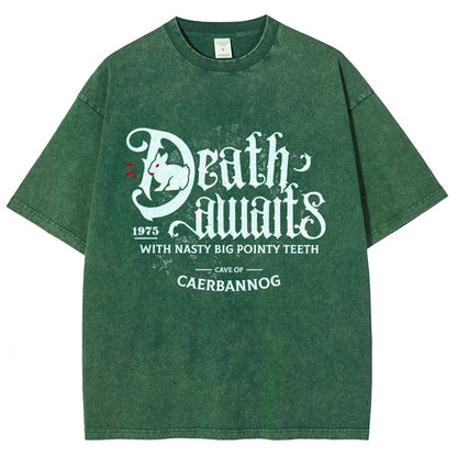 Death Awaits Vintage Distressed T-shirt