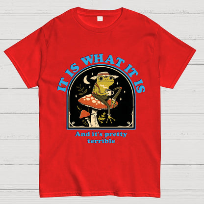 It Is What It Is And It's Pretty Terrible Geek T-Shirt