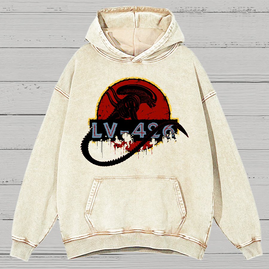 Unknown-426 Vintage Distressed Hoodie