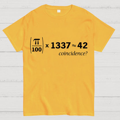 Coincidence Pi 42 Geek T-Shirt