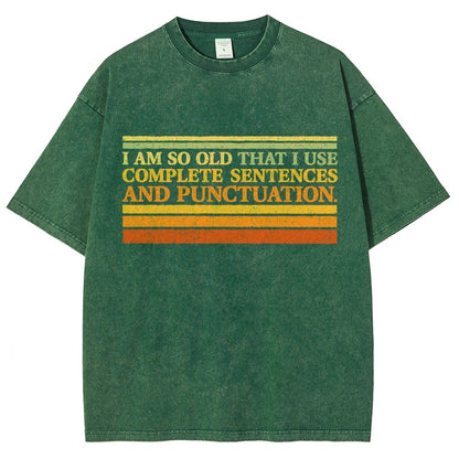 Complete Sentences and Punctuation Vintage Distressed T-shirt