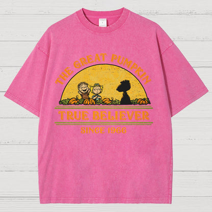True Believer Since 1966 .Vintage Distressed T-shirt