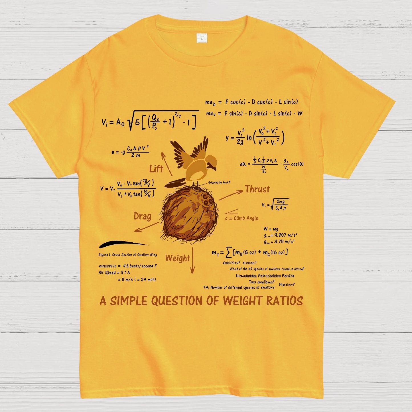 A Simple Question Geek T-Shirt