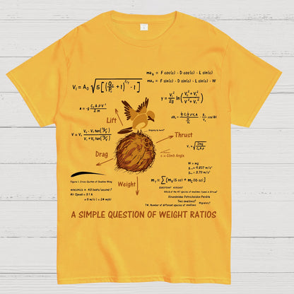 A Simple Question Geek T-Shirt