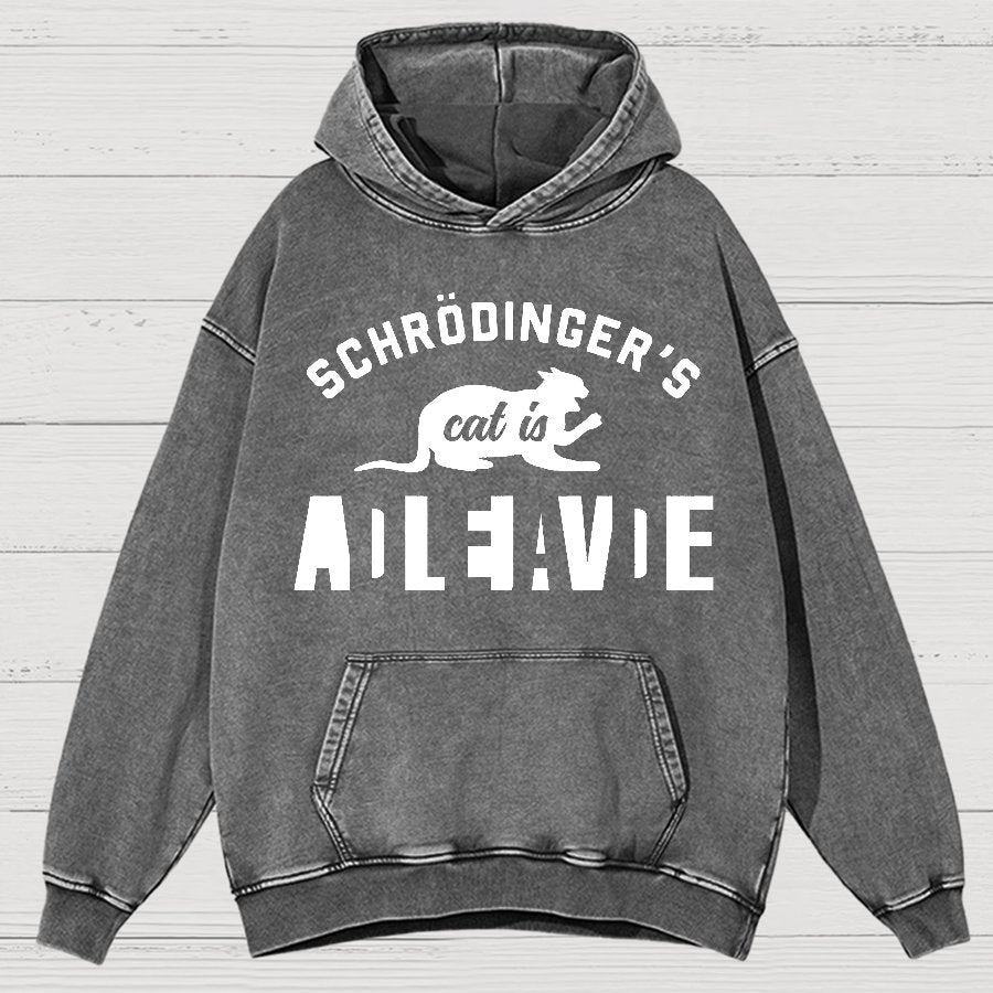 Schrodinger's Cat Vintage Distressed Hoodie