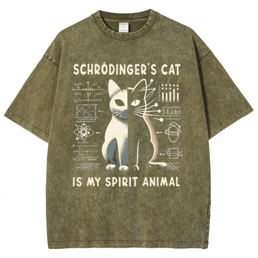 Schrodinger's Сat Science Vintage Distressed T-shirt