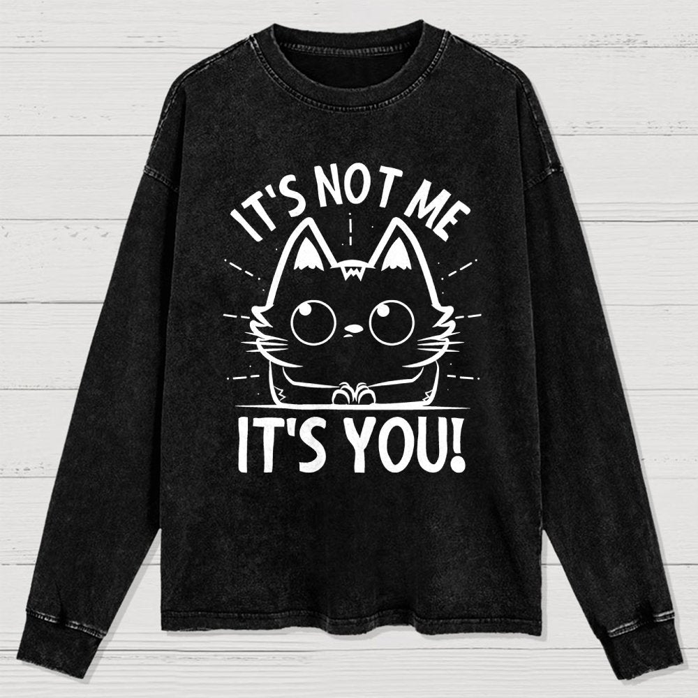 It's Not me It's You Washed Long Sleeve Tee
