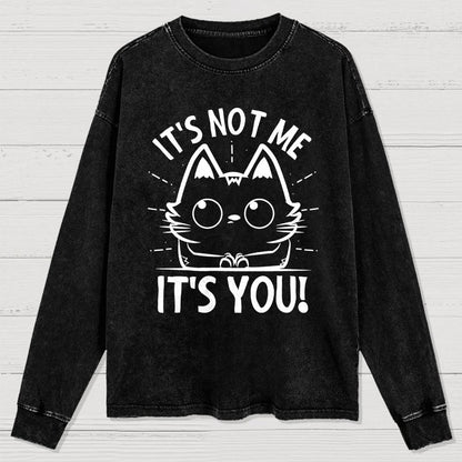 It's Not me It's You Washed Long Sleeve Tee