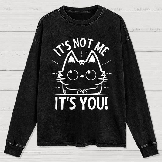 It's Not me It's You Washed Long Sleeve Tee