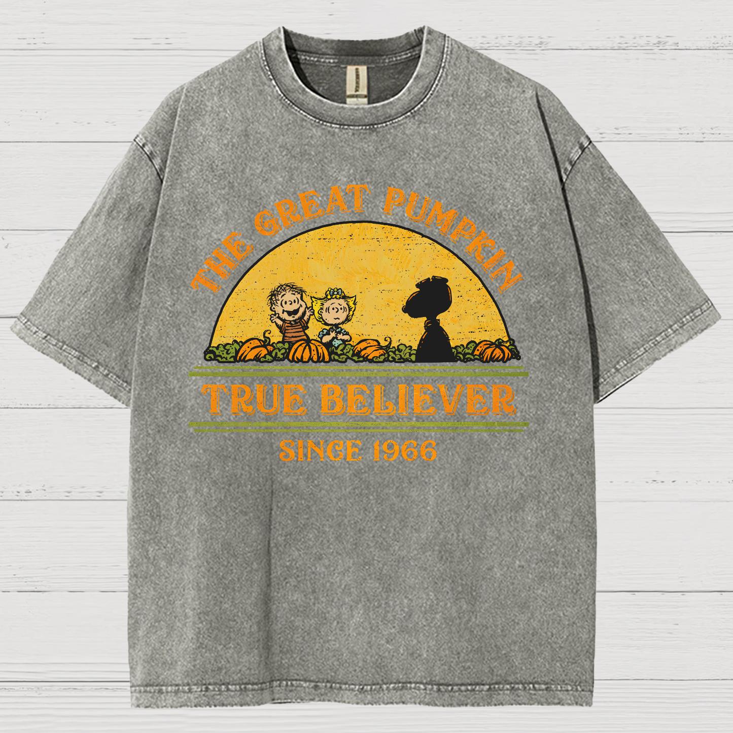 True Believer Since 1966 .Vintage Distressed T-shirt