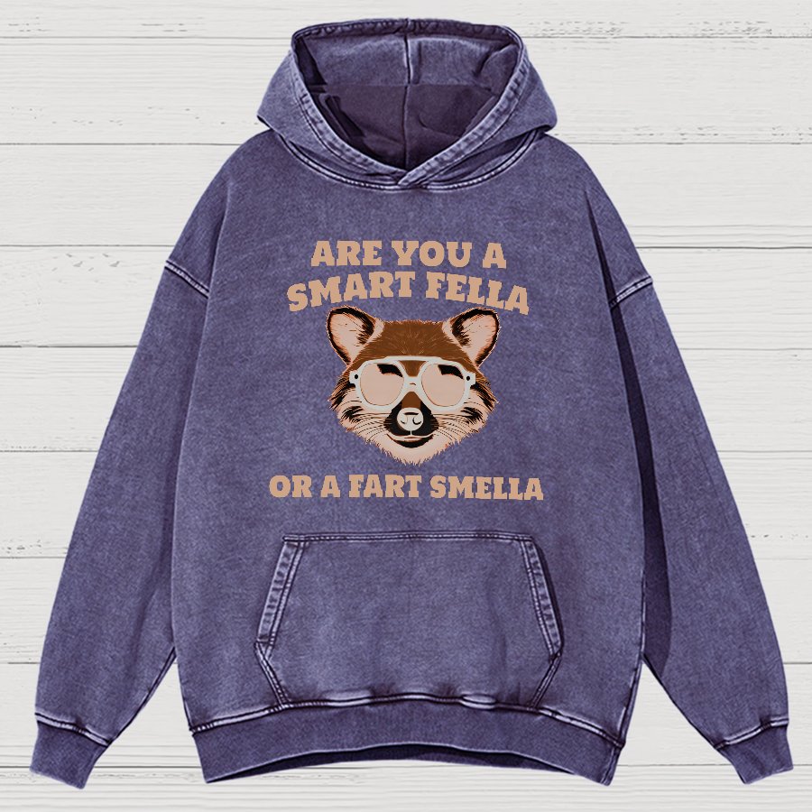 Are You A Smart Fella Or Fart Smella Vintage Distressed Hoodie