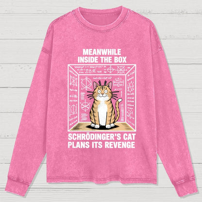 Schrodinger's Cat Escape Plan Washed Long Sleeve Tee