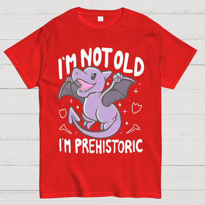 I'm Not Old I Am Prehistoric Geek T-Shirt