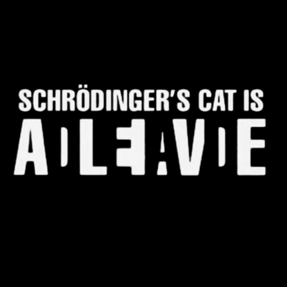 Schrödinger's Cat Adleiavde Washed Long Sleeve Tee