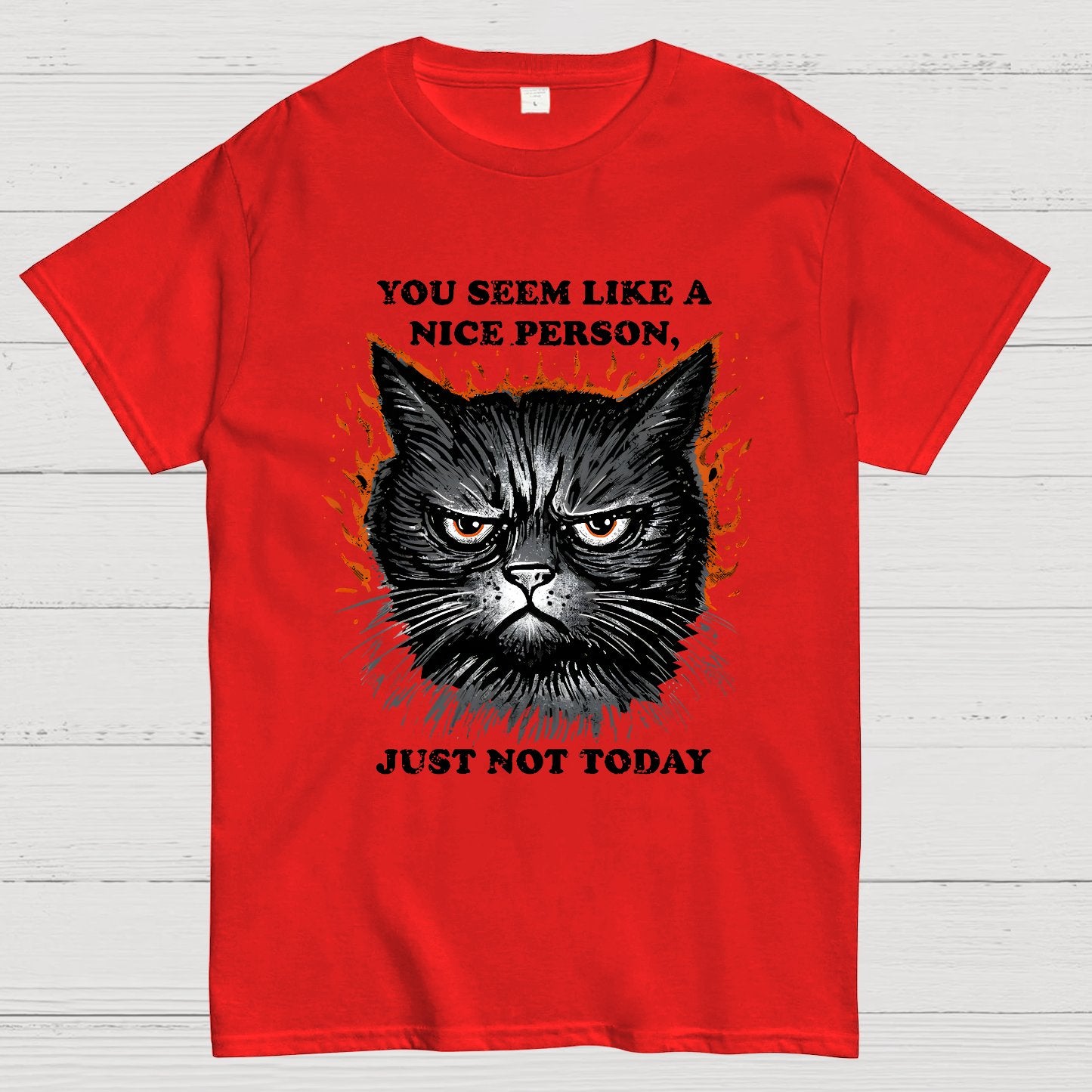 Nice Person Geek T-Shirt