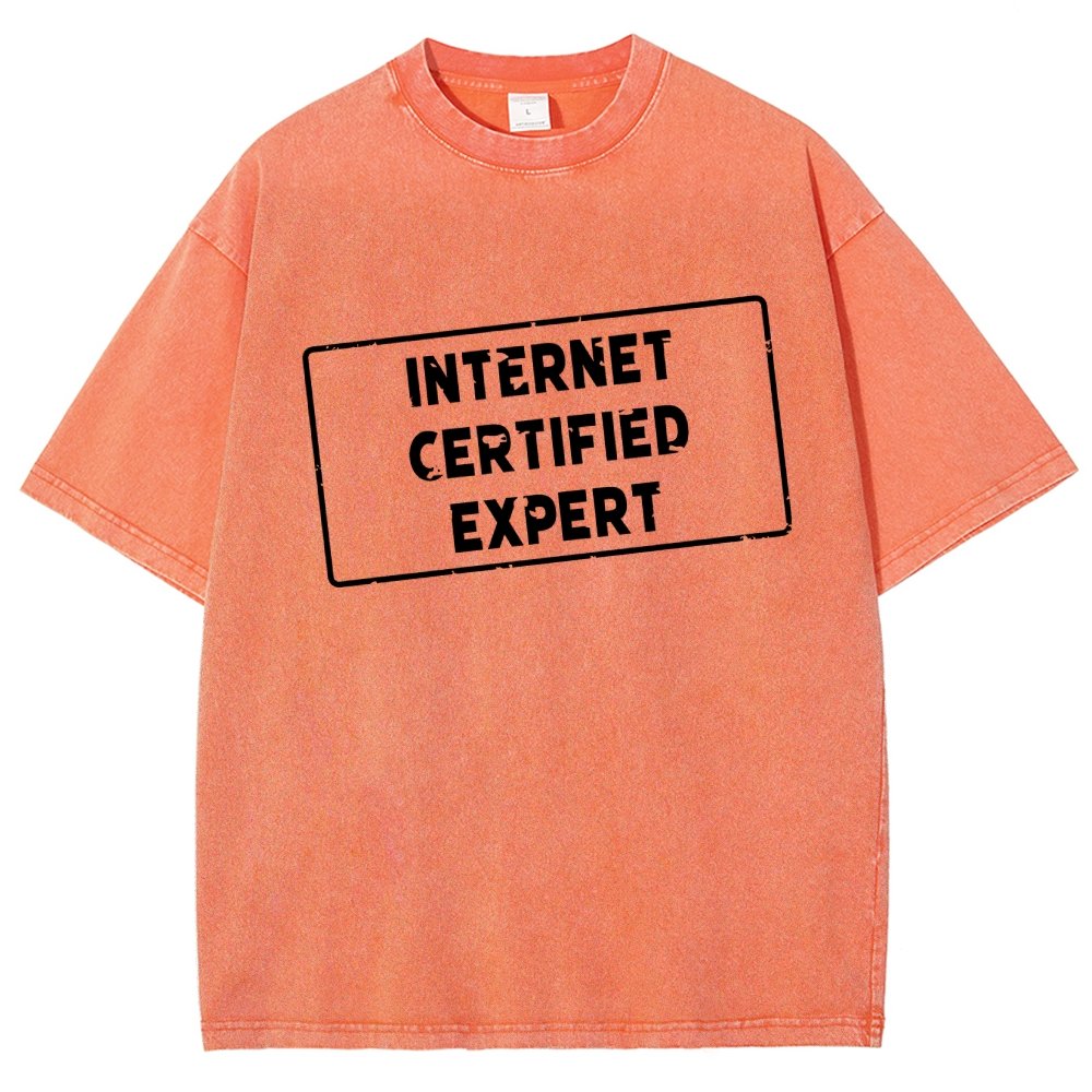 Internet Certified Expert Vintage Distressed T-shirt