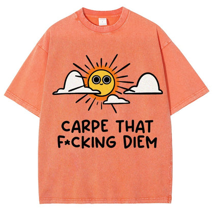 Carpe Diem Vintage Distressed T-shirt