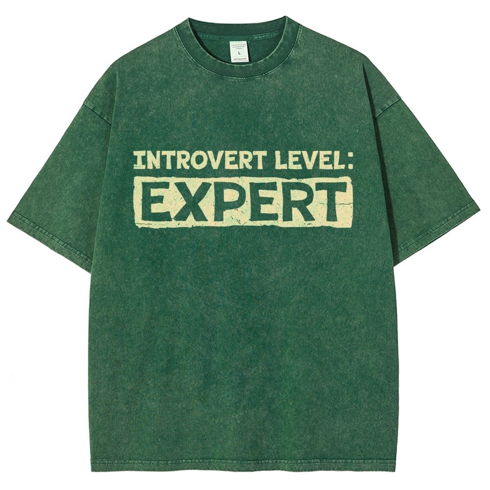 Introvert Level:Expert Vintage Distressed T-shirt
