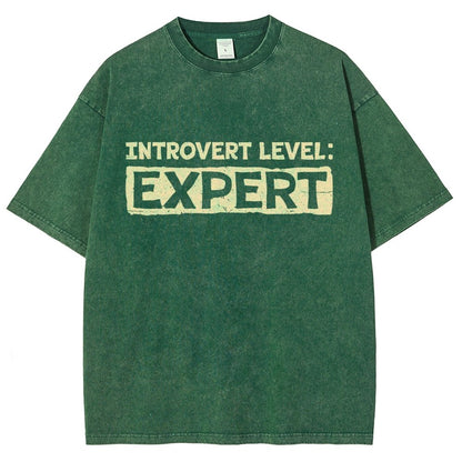Introvert Level:Expert Vintage Distressed T-shirt