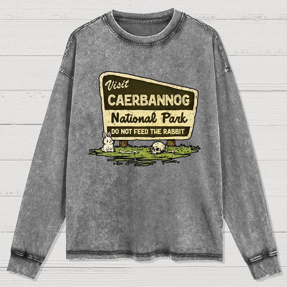 Mystic National Park Washed Long Sleeve Tee