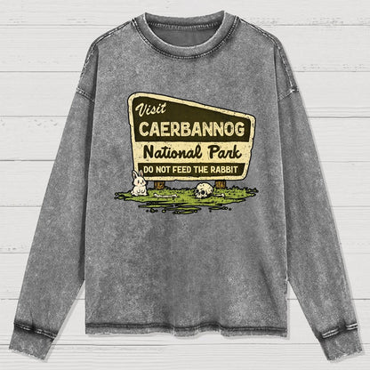 Mystic National Park Washed Long Sleeve Tee
