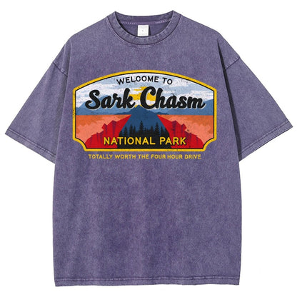 Welcome To Sarcasm Remix Vintage Distressed T-shirt
