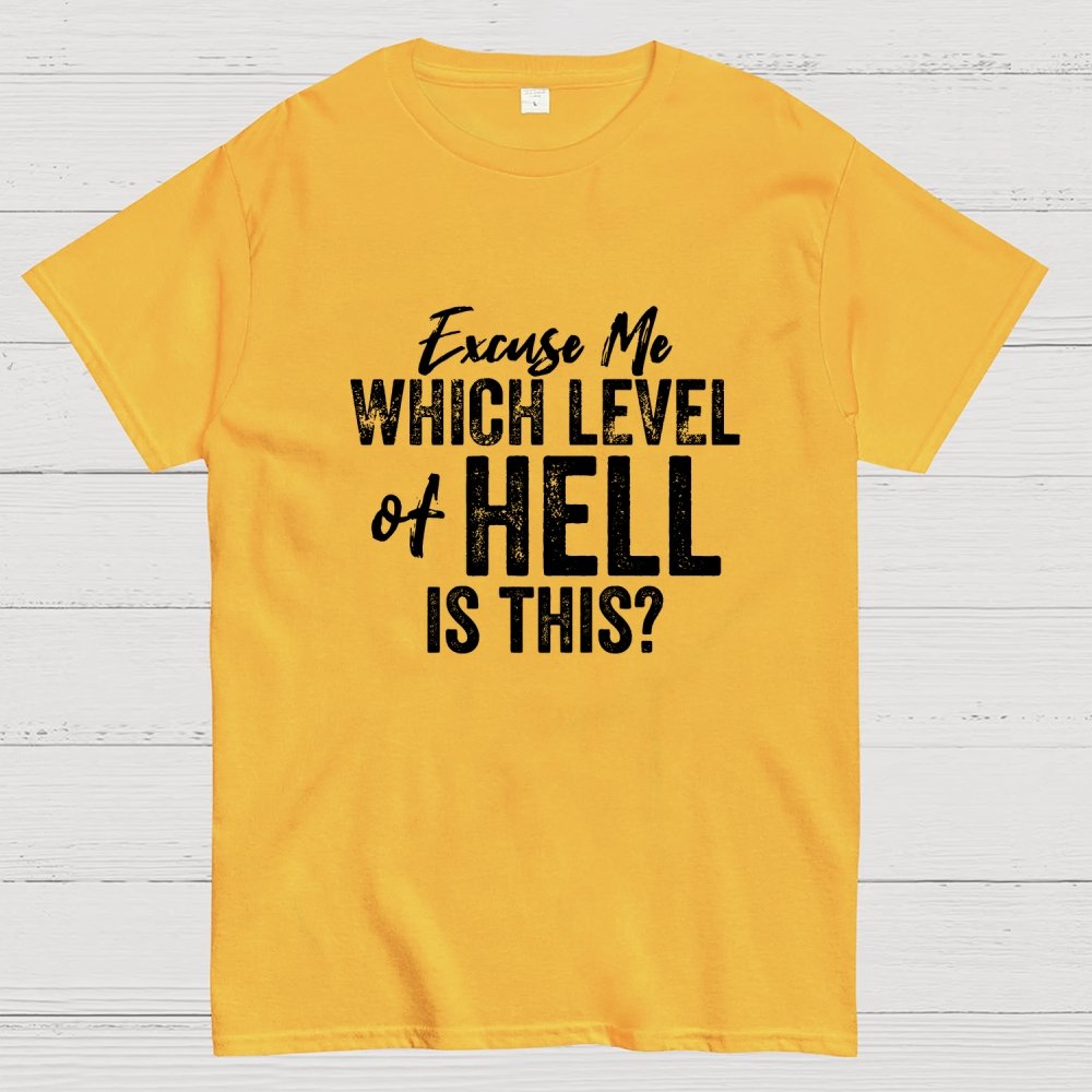 Excuse Me Which Level of Hell is This？Geek T-Shirt