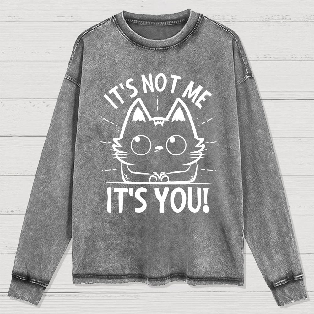 It's Not me It's You Washed Long Sleeve Tee